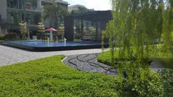 Thomson Three (D20), Apartment #134246852